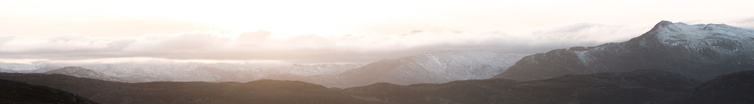 EA_LP_Banner_D