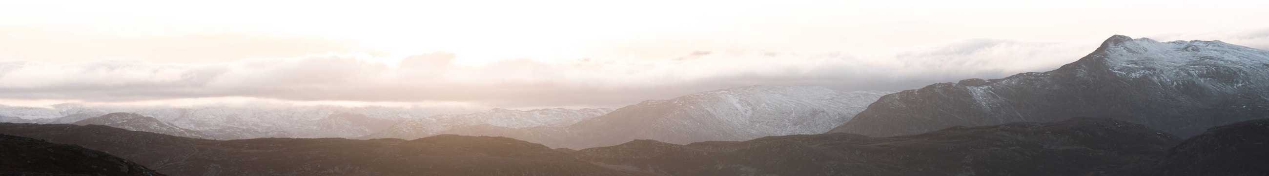 EA_LP_Banner_D